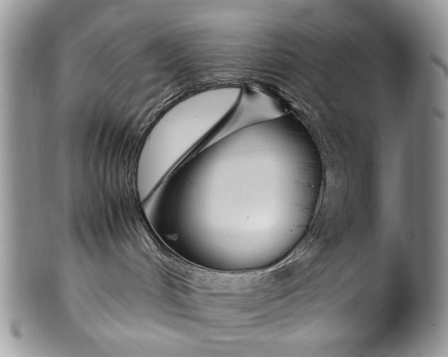 X0000099940048200806131435