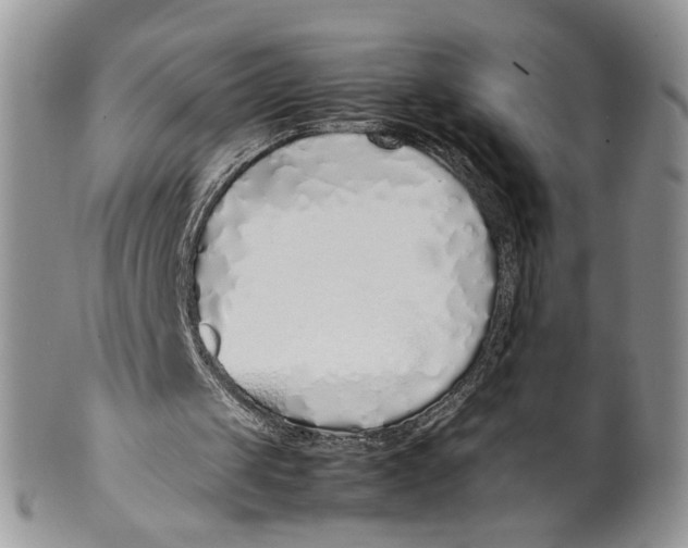 X0000099940049200806131434