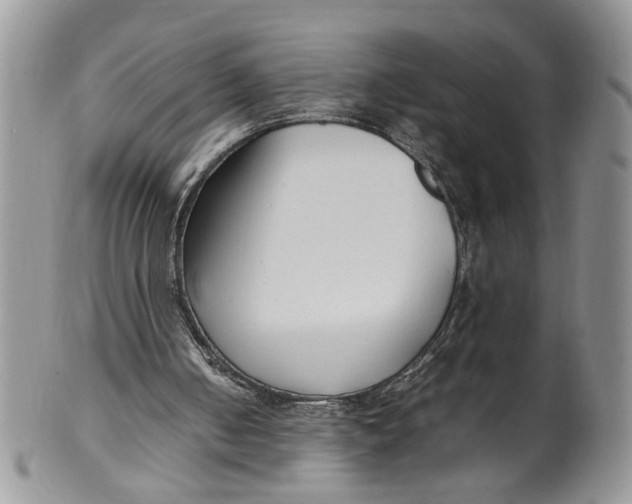 X0000099940050200806131434