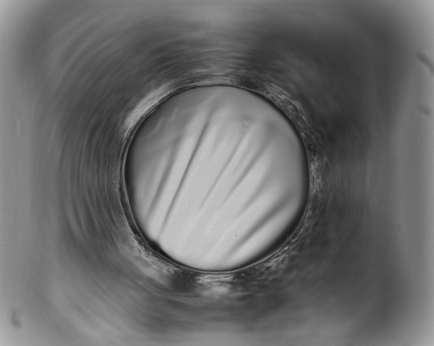 X0000099940051200806131434