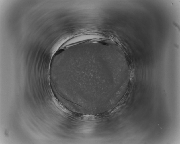 X0000099940052200806131434