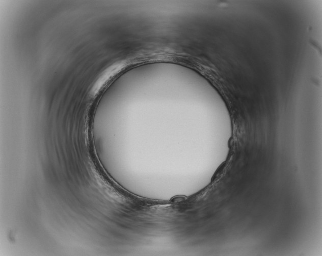 X0000099940054200806131434