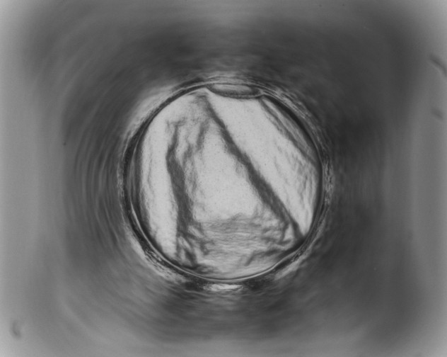 X0000099940055200806131434