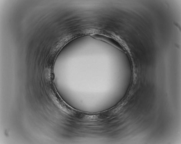 X0000099940057200806131434