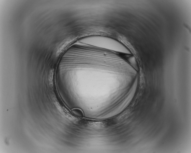 X0000099940058200806131434