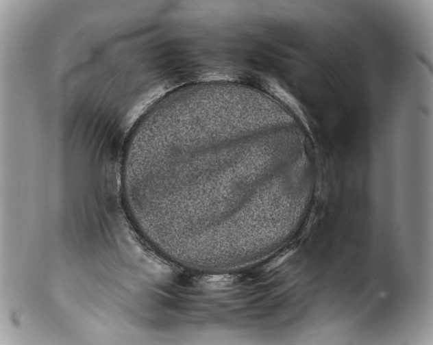 X0000099940059200806131434