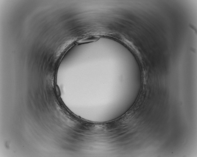 X0000099940060200806131434