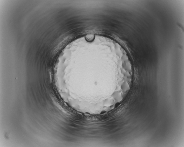 X0000099940061200806131434