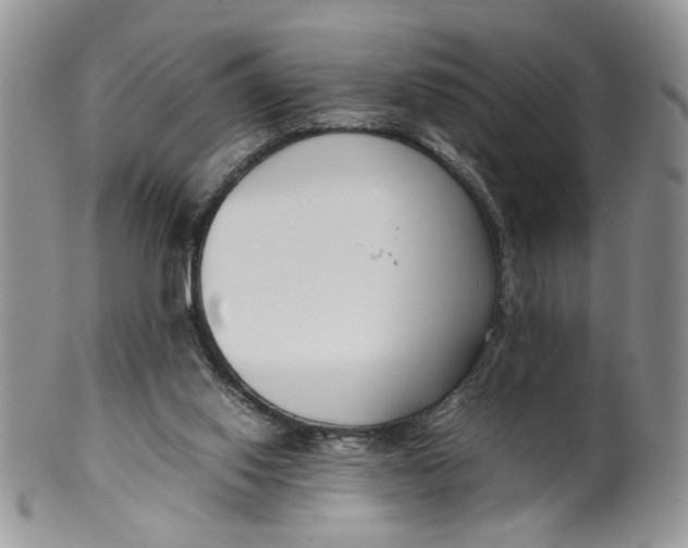 X0000099940062200806131434