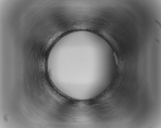 X0000099940064200806131434