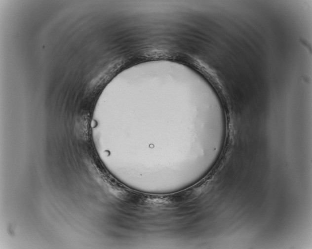 X0000099940065200806131434