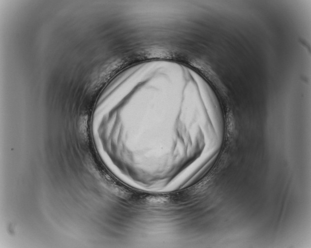 X0000099940066200806131434