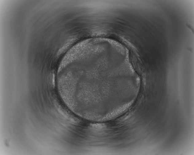 X0000099940067200806131434