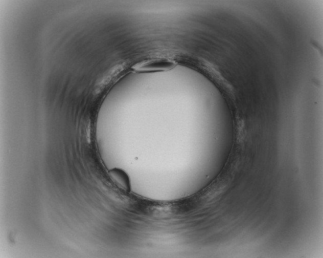 X0000099940068200806131434