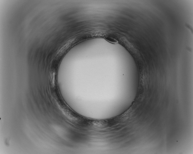 X0000099940070200806131435