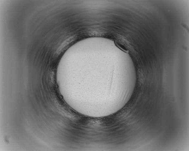 X0000099940071200806131435