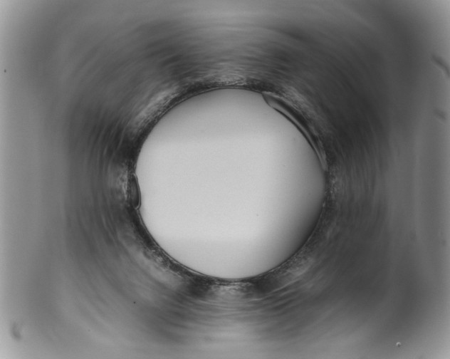 X0000099940072200806131435