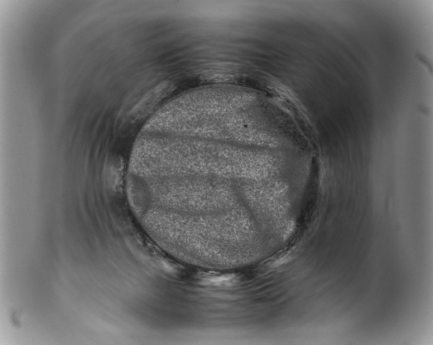 X0000099940073200806131435