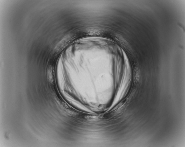 X0000099940074200806131435