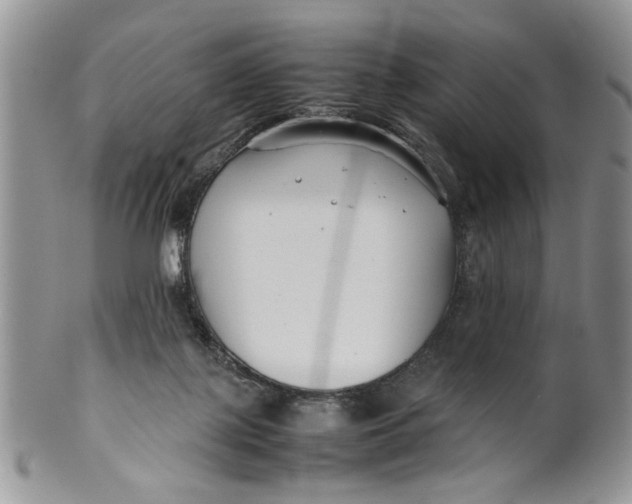 X0000099940075200806131435