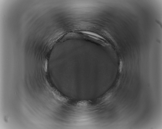 X0000099940076200806131435