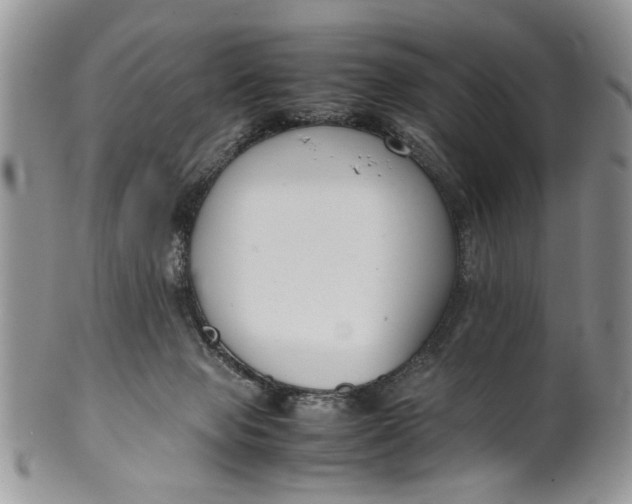 X0000099940077200806131435