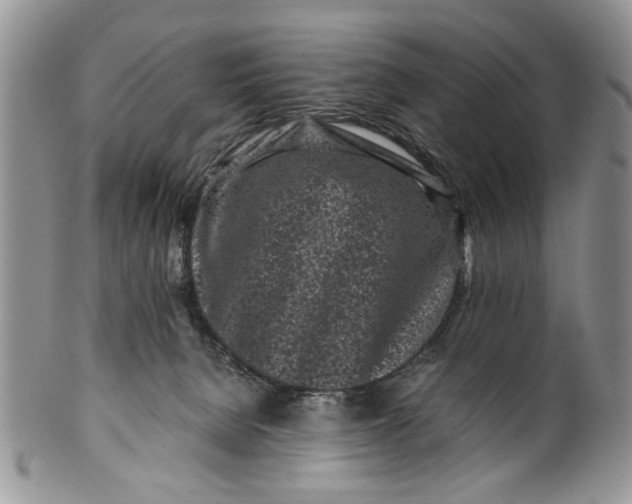 X0000099940080200806131435