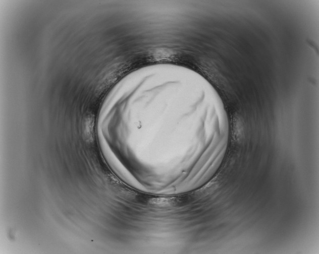 X0000099940082200806131435