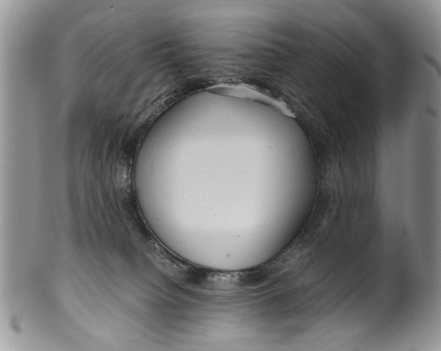 X0000099940084200806131435