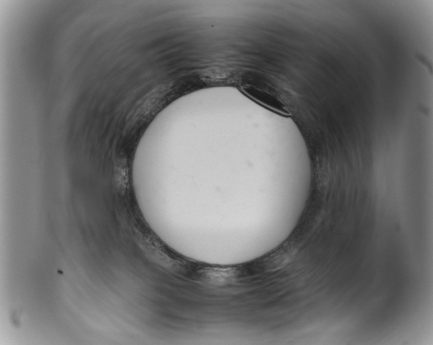 X0000099940085200806131435