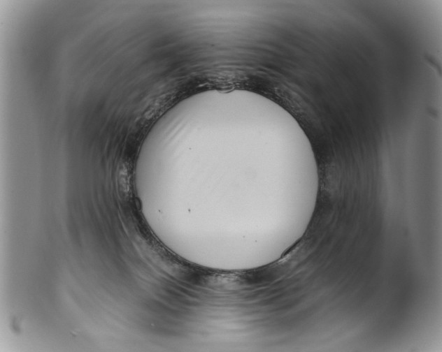 X0000099940086200806131435