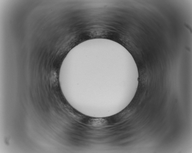 X0000099940087200806131435