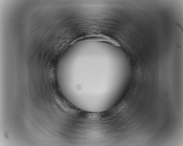 X0000099940088200806131435