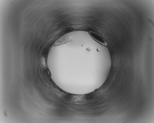 X0000099940089200806131435