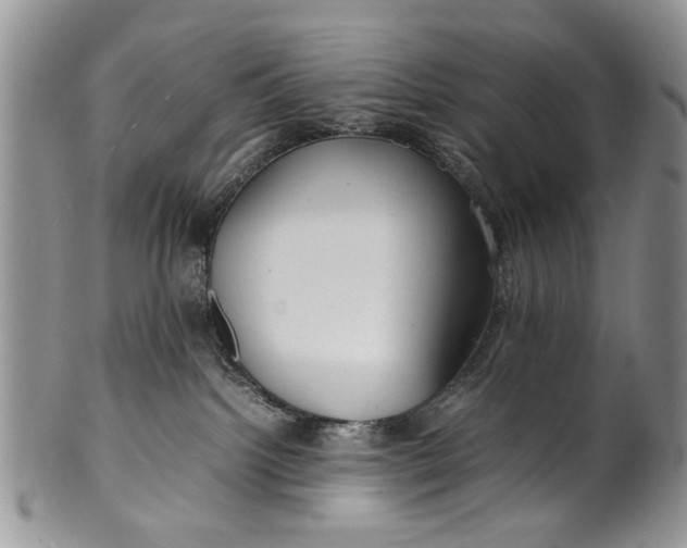 X0000099940092200806131435