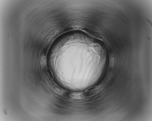 X0000099940093200806131435