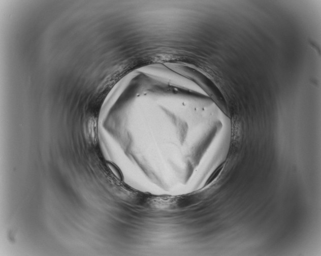 X0000099940094200806131435