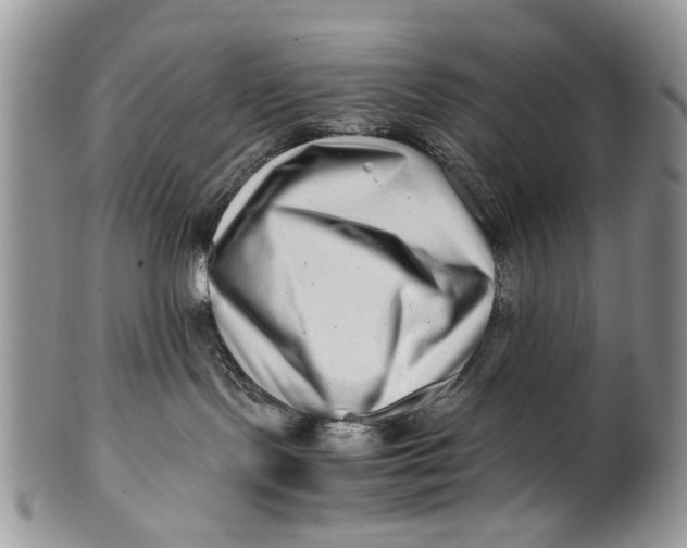 X0000099940095200806131435