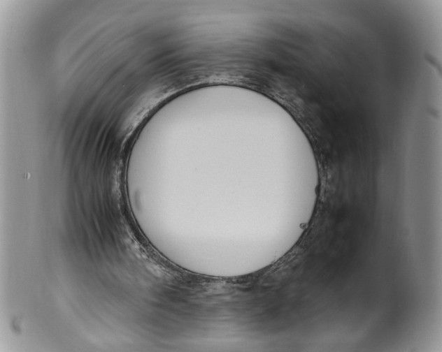 X0000099940098200806131434