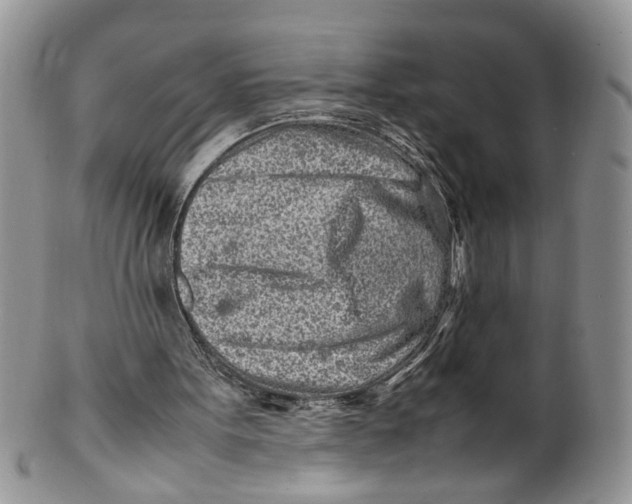 X0000099940099200806131434