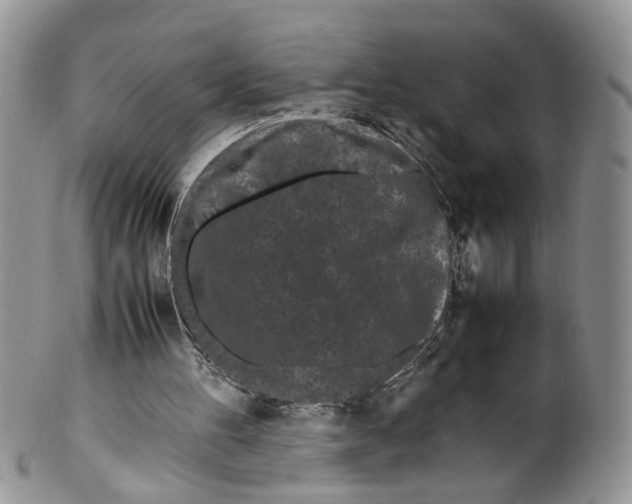 X0000099940100200806131434