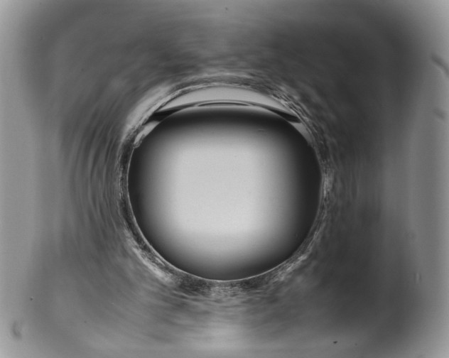 X0000099940101200806131434