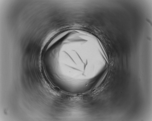 X0000099940102200806131434