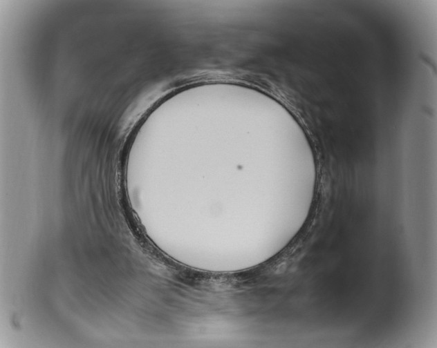 X0000099940103200806131434