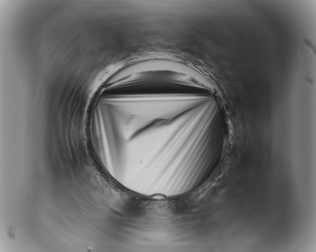 X0000099940104200806131434