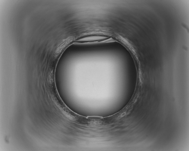 X0000099940105200806131434