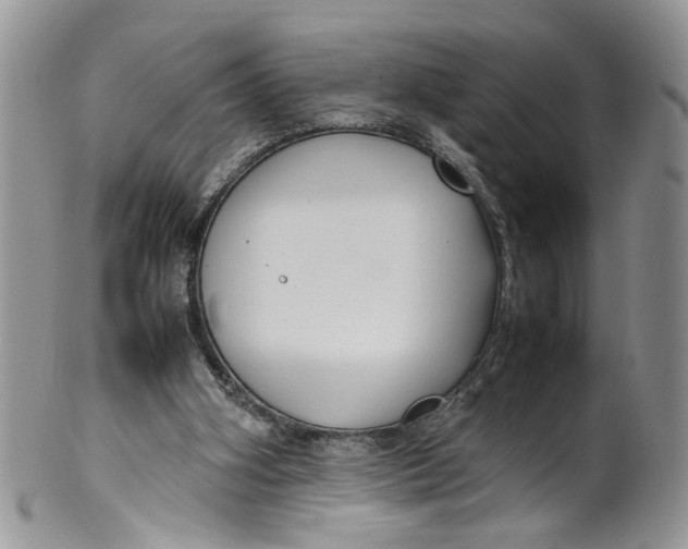 X0000099940106200806131434