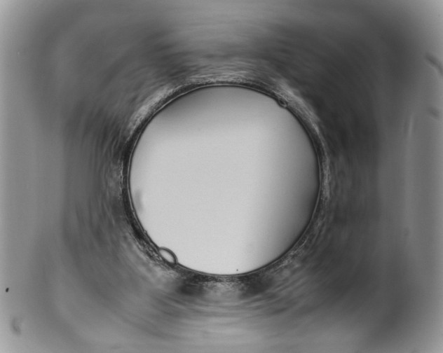 X0000099940107200806131434