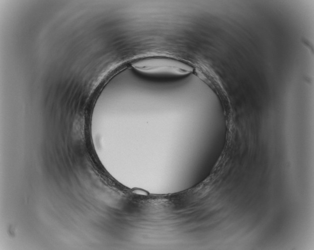 X0000099940108200806131434