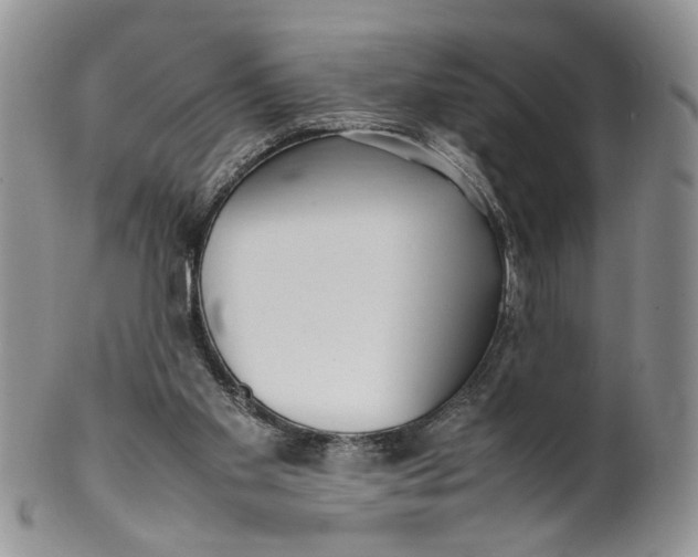 X0000099940109200806131434